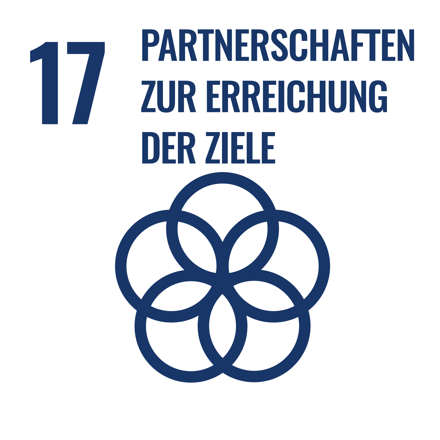 SDG Allianz Liechtenstein - Partnerschaften